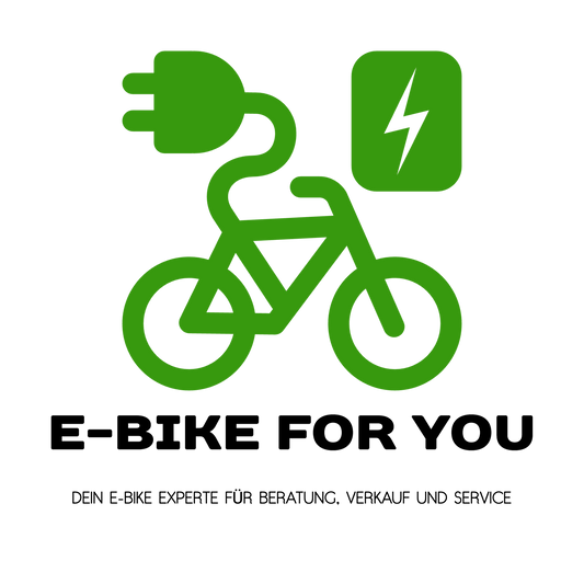 "E-BIKE FOR YOU – Markus und Nicole Bürger erfüllen ihren Lebenstraum"