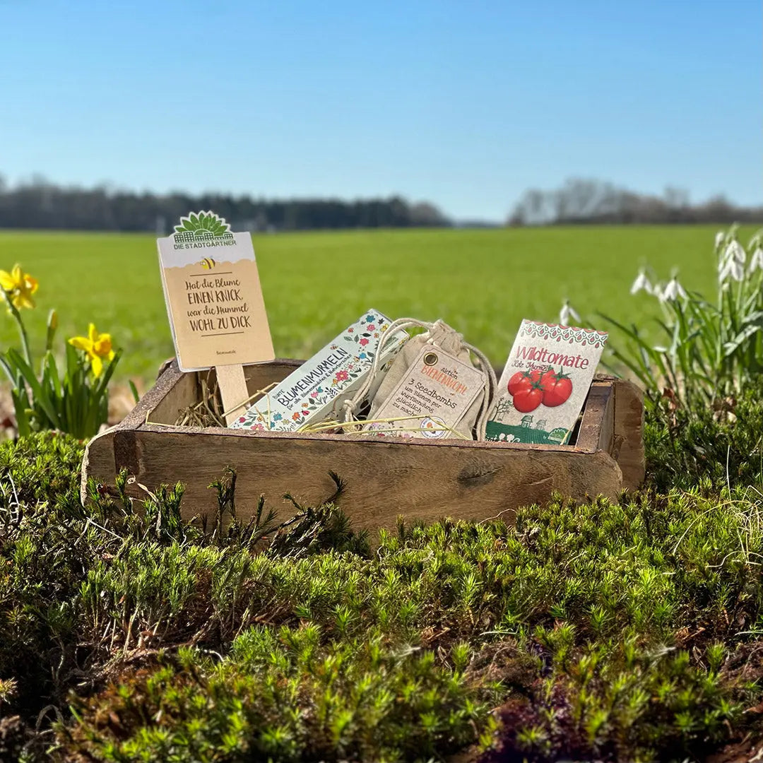 Ostern 2026: Kreative Ostergeschenke & nachhaltige Deko-Ideen Lieblingsschuppen.de