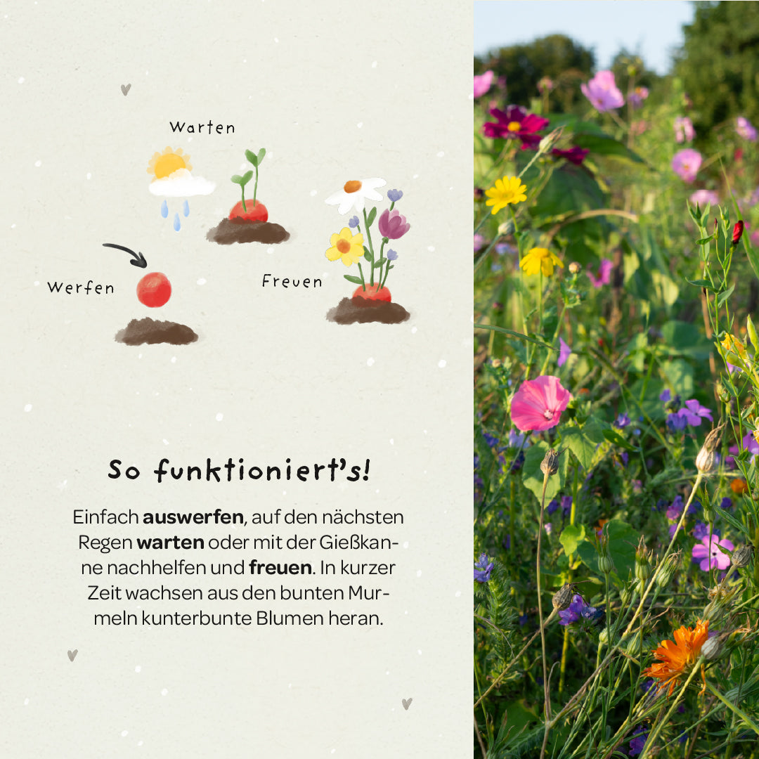 Die Stadtgärtner - Saatgrüße & Pflanzengeschenke