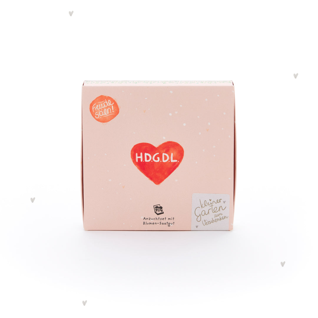 Pflanzkästchen - HDGDL - Hab dich ganz doll lieb